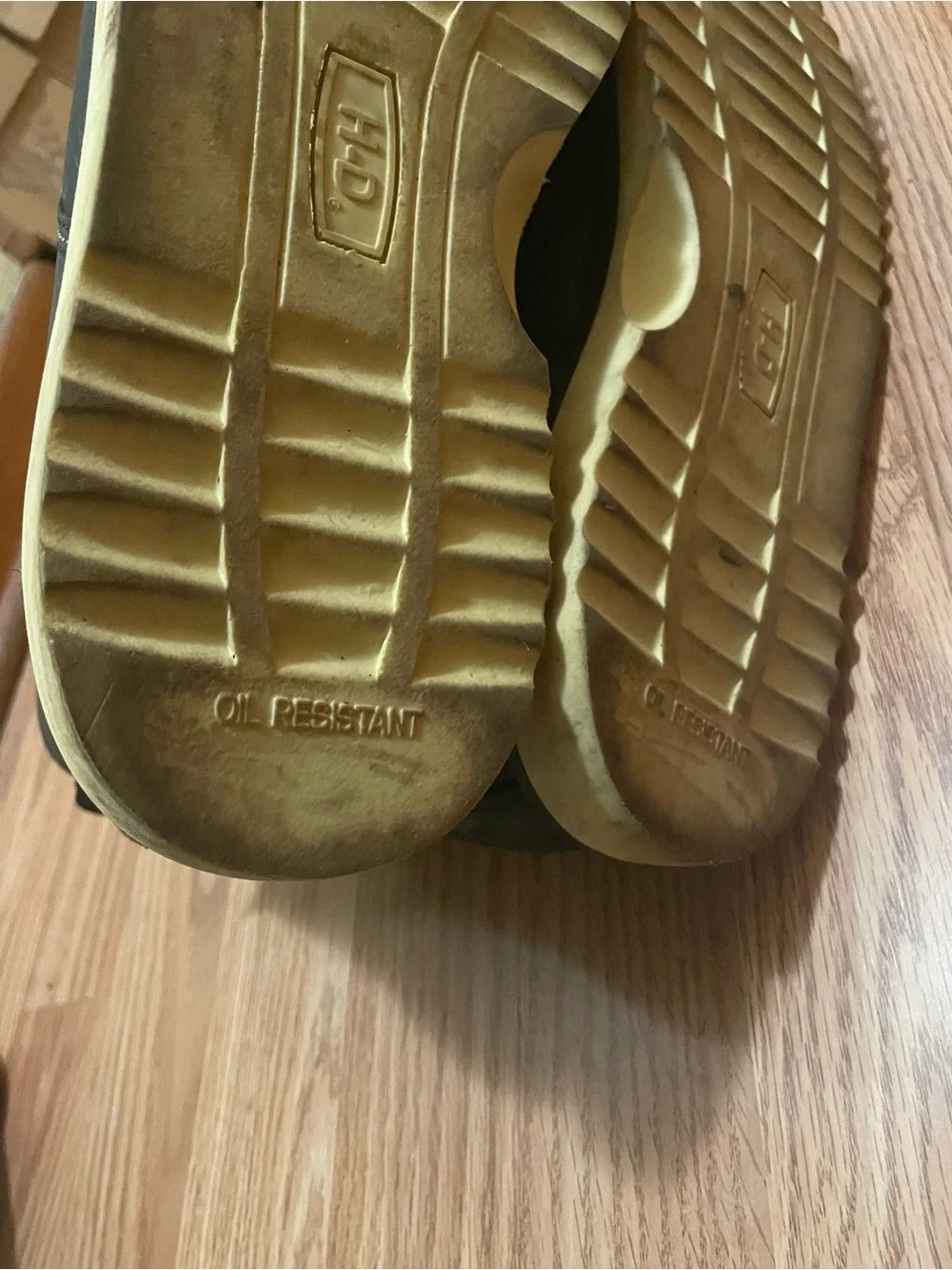 Harley-Davidson gently used